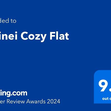 Doinei Cozy Flat Apartamento Timişoara Exterior foto