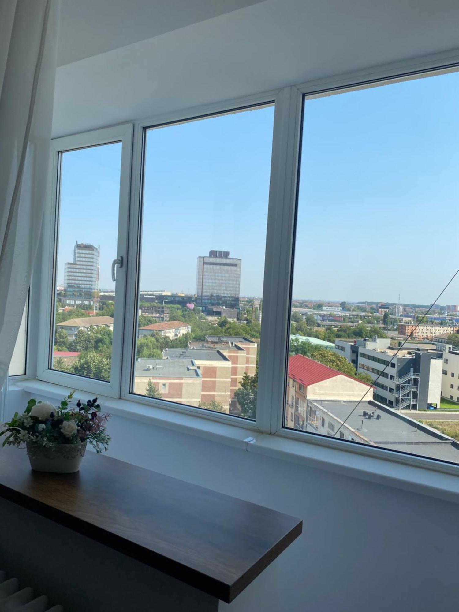 Doinei Cozy Flat Apartamento Timişoara Exterior foto